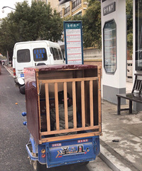 ���Ե����ַ���