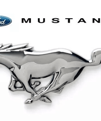 ���Ĵ�Ұ����״�桰����Ұ����ʤ�� �й�������ޡ�����Ұ������