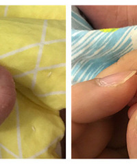 ʮһ��ı����ֽ��ϳ�Сˮ�ݣ�