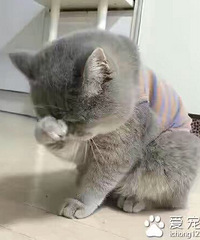 ��˾���վ۲�ȥ����ã�������15������ Ԥ��1500