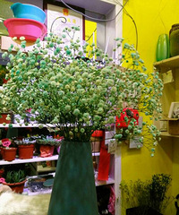 û�иý������ ֻ�иý��ĸ���