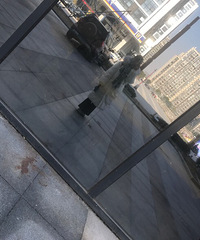 ���棺���ǵ�����������ʲô��