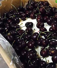 ɹɹ�ҼҺ����ϰ� ��������;��ǳ�����