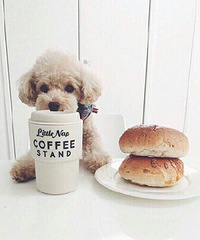 �ڴ���ʱ�������Ե���Ҫ��ô�죿�������Ǽ��� ̫�����ˣ�