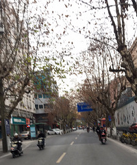 �峿���ڼ�·�������������۵�