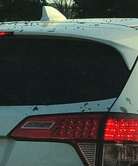 �����⳵���̲�סЦ�� һ������ʺ��