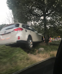 ����̫���á�����û�������桰���Ϸɡ�  ������ţ�ˣ�