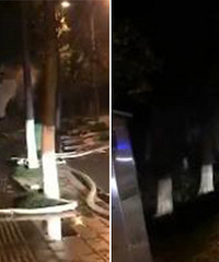 ��ɷ�����������ƺ��ð�� 119����ȴûˮ