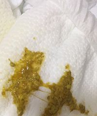 �����Ū����