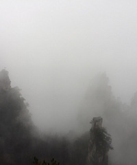 �о����˼ٵ��żҽ� �칫������ �о����ź���