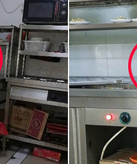 ����ĳ��� è�����˸��˳ԣ�