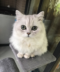 ���Ҽ���ֵ�����Ҹ�Ů����