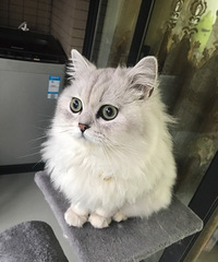 ���Ҽ���ֵ�����Ҹ�Ů����