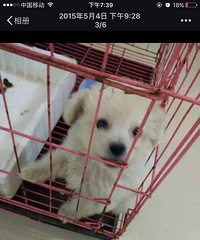 ̫���񣡾����˴����ǿ���������� ��˵�������Ǽҵ�