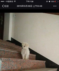 ̫���񣡾����˴����ǿ���������� ��˵�������Ǽҵ�