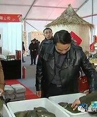 "厉害了!秀洲区政府广场有好多甲鱼"