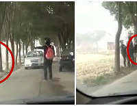 ���˾����˰ѳ��ﹷ�������� ���ƶ�����