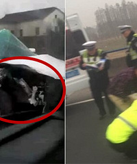 ��κ����ٷ������س���������ײ�١�����