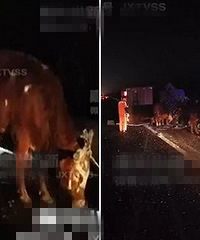 �������ˣ�����ĳ���پ��ֹ�ţ �������Ż�ɢ��