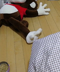 �º����ڹ���������ؼ������סԺ �����ֳ���Ȯ����������