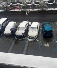 ���˼ҵı�����һ�����ɡ��С��������ѩ��������