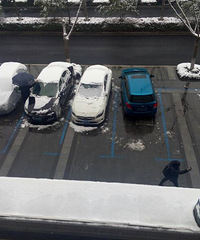 ���˼ҵı�����һ�����ɡ��С��������ѩ��������