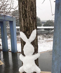 脑洞大开把雪人堆在树上