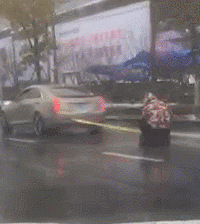 ţ�棡ͩ���Ȼ���˿��������ˡ������е������ӽǣ�