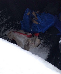 ��������û�س��� һ������������