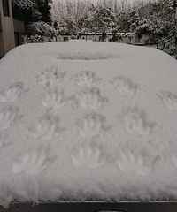 ֻ�����һ�� �ҵĽ���ʮ���ƾʹ󹦸����