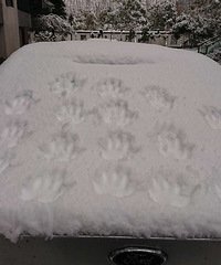 ֻ�����һ�� �ҵĽ���ʮ���ƾʹ󹦸����