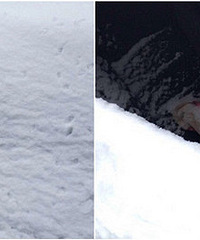 ������ѩ��������û�س���  ��������һ�������ˡ�����