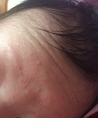 ����ͷ�����϶��������ĵ��