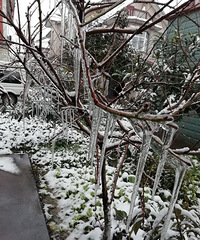 �����࣡��֦�϶�����С������  Ī���ɰ���