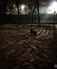 ���˹��ˣ��賿���㱻���������� ��Ȼ��ԡ���﷢���ˡ�������