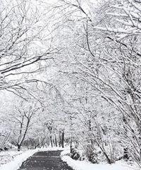 2018����˵ĵ�һ��ѩ���������ˣ����Ȼ��û������