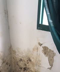 �������ĸ��䣬����ʱ��������Ǯ������