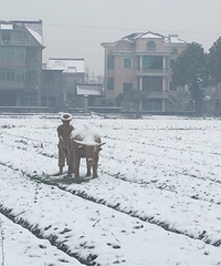 ��ѩ���Ȼ���С�ũ�񲮲����ڸ��أ�ǣţ�Ƴ��Ķ��С�������