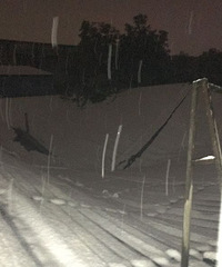 ��ѩ��û�꣡��դ�г�����ѹ�� ���ϻ���ð���ǣ�