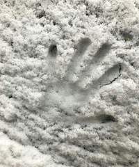 ��̶̵�һ���������ն���ʧȥ �㲻���󵨰�һ����