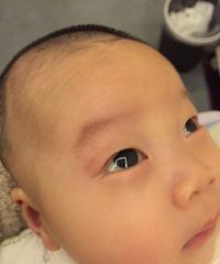 1��22���Ӥ����������üë����Ƥ������