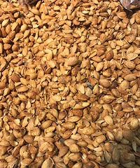 û����л���Գԣ�����ĳ���й�� �úõļ��ȫ����ֻʣ�ǡ�����