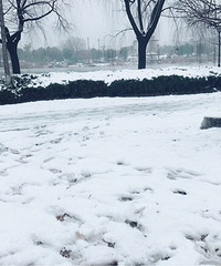 ѩ������