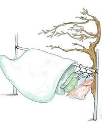 ¥�����̫���⣡��ɹ����Ҫ�Ҳ���̨��  ��������Ϳ¥����