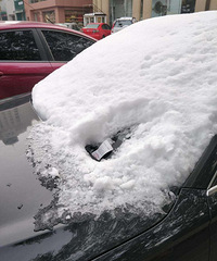 ����һ������ѩ���ǵĳ�...�������ң�