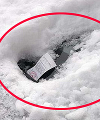 ����һ������ѩ���ǵĳ�...�������ң�