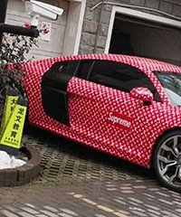 ʧ��������������ɧ�� ȫ�����ǡ�������