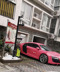 ����������˵�Ƿǳ�ɧ���ˣ�ȫ�����ǡ�������