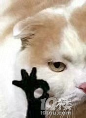 [ɹ���]���������԰׽�а���