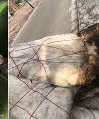 ɹ���Ӳ��ɹ������ ��Ȼ�������������